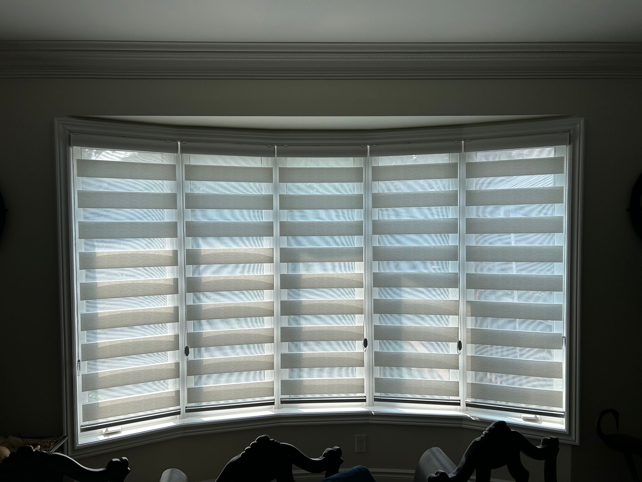 Zebra Blinds Toronto GTA